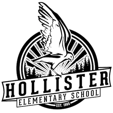 Comprar ropa hollister outlet